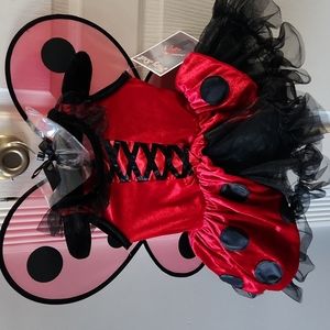 Fairy dust Lady bug costume. Size 3